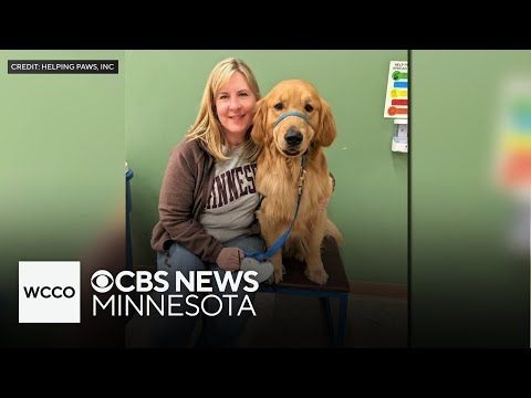These service dogs are part of Melissa, Mark Hortman's lasting impact