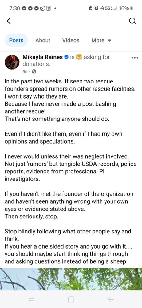 Social media post:

Mikayla Raines
5d · 🌐

In the past two weeks. If seen two rescue founders spread rumors on other rescue facilities. I won't say who they are.

Because I have never made a post bashing another rescue!
That's not something anyone should do.

Even if I didn't like them, even if I had my own opinions and speculations.

I never would unless their was neglect involved.
Not just 'rumors' but tangible USDA records, police reports, evidence from professional PI investigators.

If you haven't met the founder of the organization and haven't seen anything wrong with your own eyes or evidence stated above.
Then seriously, stop.

Stop blindly following what other people say and think.
If you hear a one sided story and you go with it.... you should maybe start thinking things through and asking questions instead of being a sheep.

