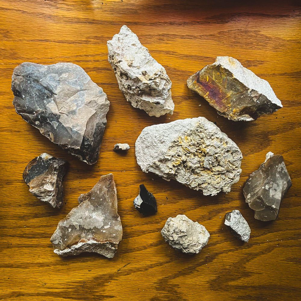 A collection of limestone and flint of varying color and size

#rocks #rockhound #denmark #Copenhagen #danish #faxe #limestone #fossil #coral #flint #quarry #mining #ancient #paleocene #epoch #extinct #gem #mineral #crinoid #tubeworm #nautilus #shell #shark #geology #tourism #geomuseumfaxe #museum #sedimentary #fossilfriday #lithic #weapon #collection #specimen #archaeology