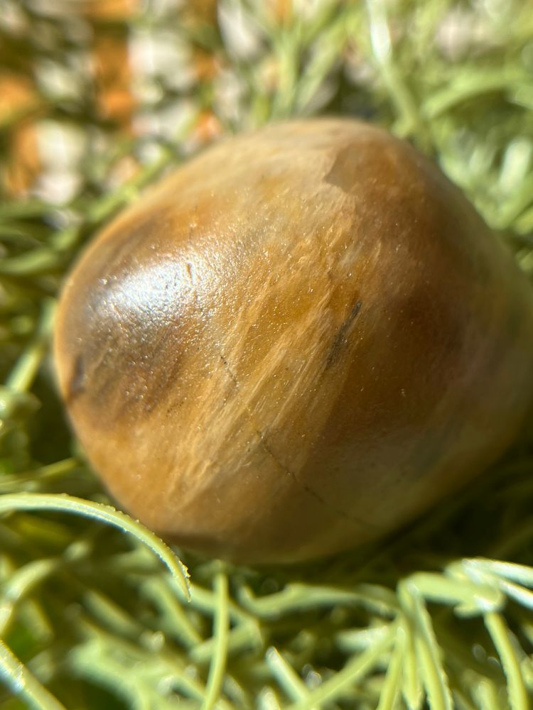 Orange agate rock on greenery 