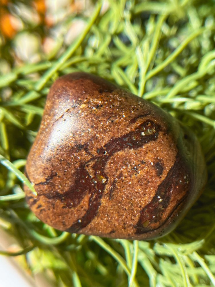 A small rust colored, beach-worn mudstone with waves of dark red minerals throughout, including some small crystals 

#rocks #rockoftheday #rockhound #rockhounding #mudstone #metamorphic #mineral #gem #lava #red #sandstone #geology #swirl #pnw #beachrock #tidepool #rocktumbling #sand #redrock