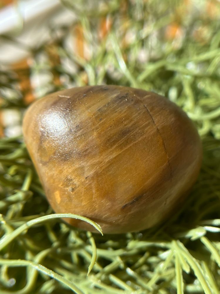 Orange agate rock on greenery 