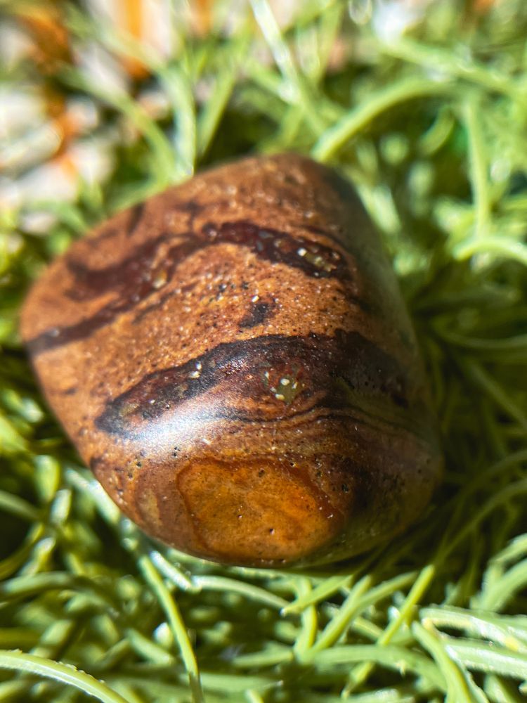 A small rust colored, beach-worn mudstone with waves of dark red minerals throughout, including some small crystals 

#rocks #rockoftheday #rockhound #rockhounding #mudstone #metamorphic #mineral #gem #lava #red #sandstone #geology #swirl #pnw #beachrock #tidepool #rocktumbling #sand #redrock