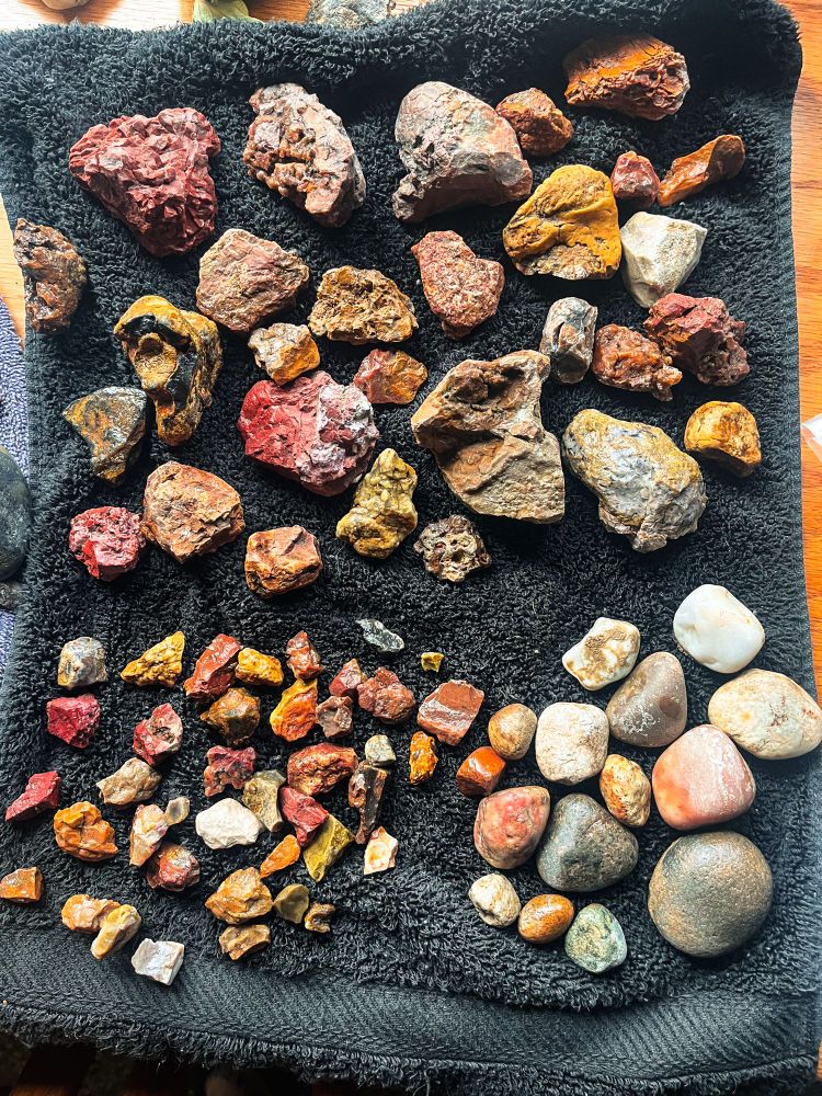 A pile of about 50 rocks of varying sizes, types, and colors on a black towel. 

#rocks #rockhound #washington #pnw #columbiariver #desert #waterfalls #agates #jasper #basalt #crystals 