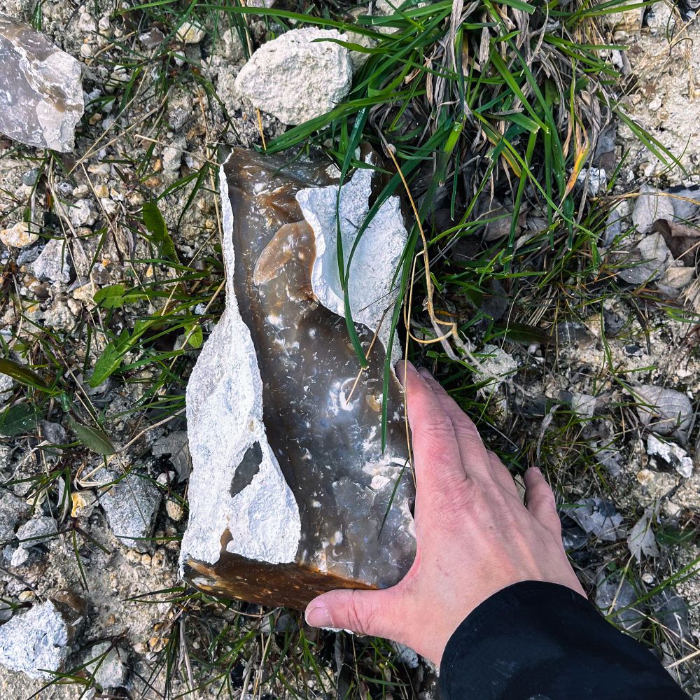 Hand holding a large piece of amber-colored flint in a twisted tube shape

#rocks #rockhound #denmark #Copenhagen #danish #faxe #limestone #fossil #coral #flint #quarry #mining #ancient #paleocene #epoch #extinct #gem #mineral #crinoid #tubeworm #nautilus #shell #shark #tourism #geomuseumfaxe #museum #sedimentary #fossilfriday #geology #bryozoan #microscopic #lithic #weapon #archaeology