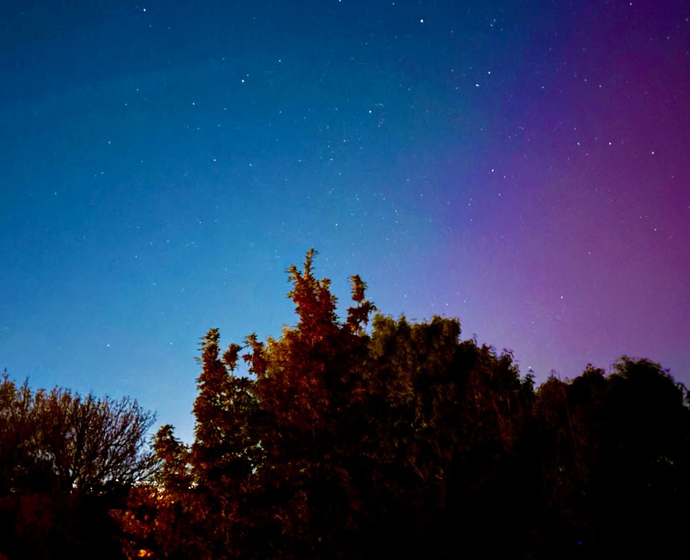 Northern lights above a tree line. 