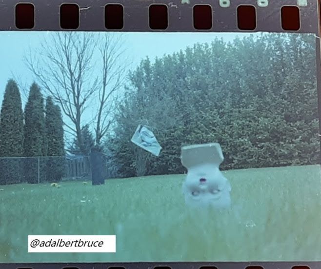 An experimental photograph of an upside-down doll's bald head, a monolith-like black object, and a painting; with a lawn and a hedge. -JBF