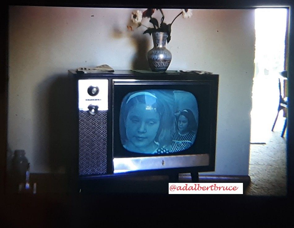 A slide photo by Bruce W. Falk, showing two children on a black-and-white television set, with a vase and flowers. Circa 1967. A touch of sunlight bleeds around the corner, with a timeless quality. -JBF