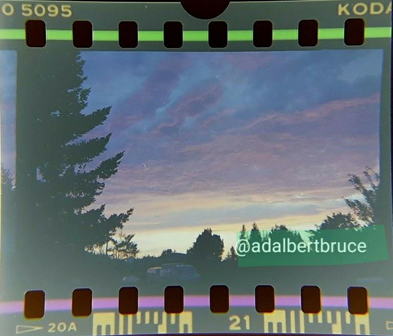 A vivid sunset, with varied tones; and  silhouettes of trees. -JBF 
