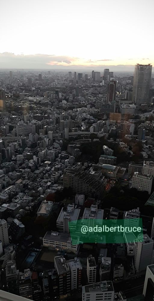 A dense array of buildings in Tokyo, from high above; with the last glow of the sun, on the horizon. -JBF 