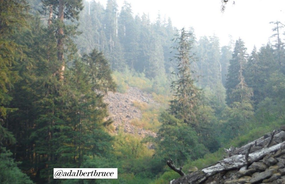 The crater of extinct volcano Larch Mountain, on the Oregon side of the Columbia River Gorge. Haze from forest fire smoke filtered the view of volcanic rocks and old growth fir trees. -JBF