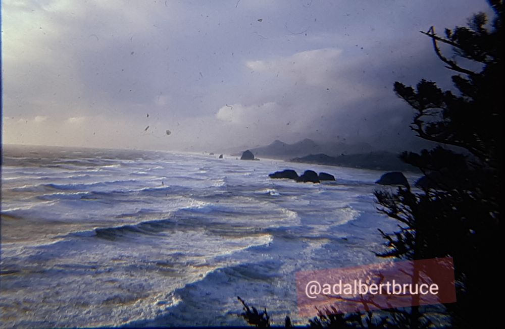 Frothy expanse of ocean surf, with clouds and trees. -JBF 