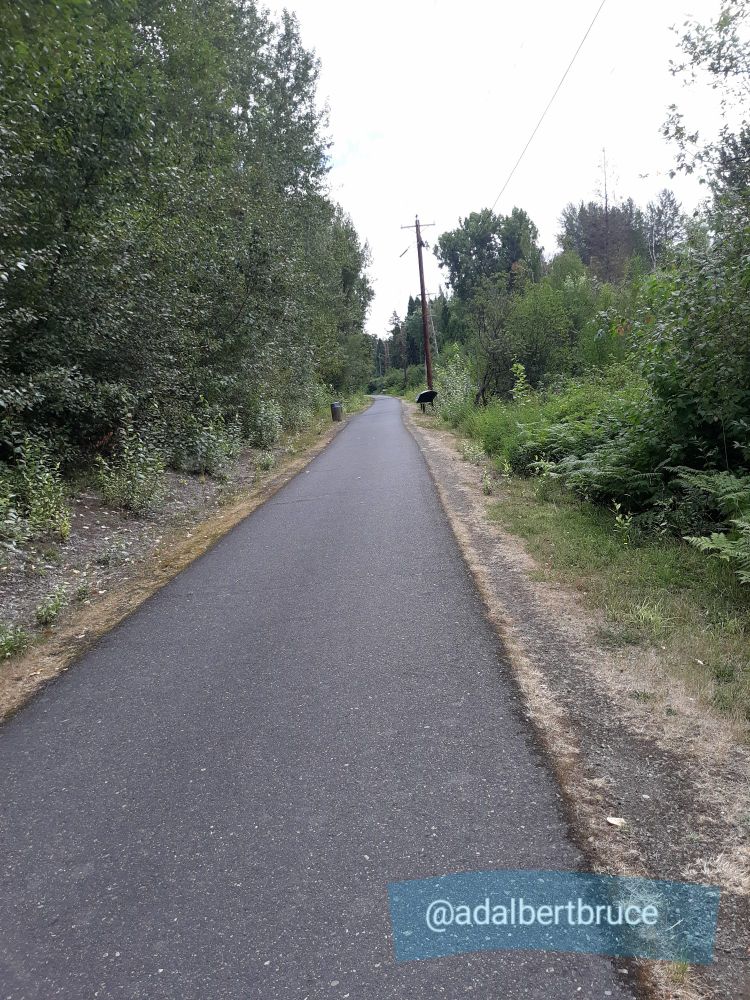 A trail, with no people visible, stretches into the remoteness. Trees rise on either side. -JBF 
