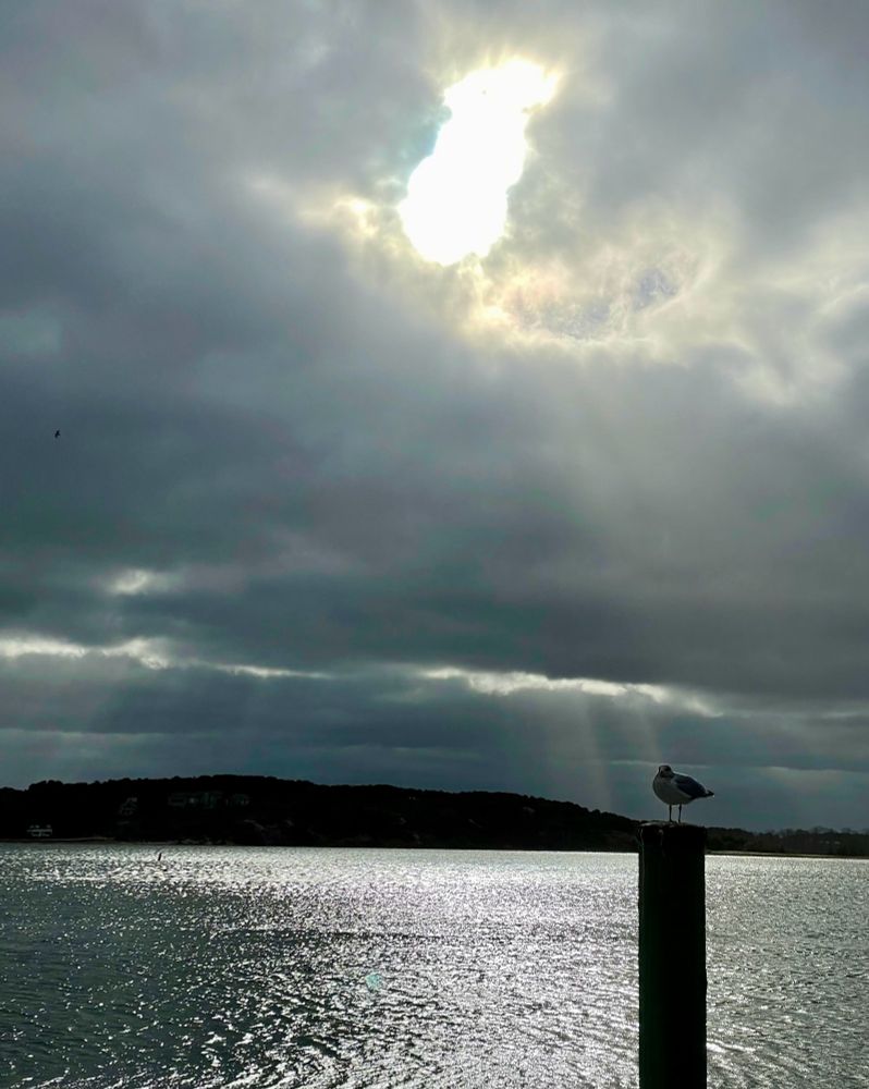 Gray clouds with sun breaking through over the shimmering water. Lone seagull on a piling in the foreground, land in the distance. 