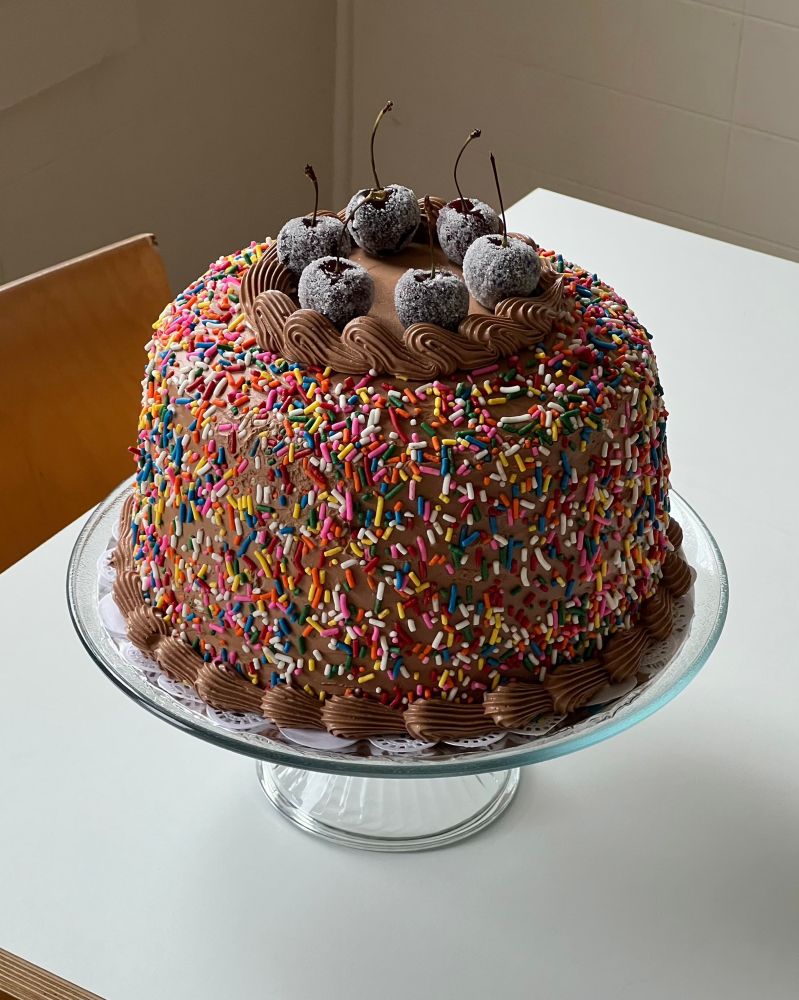 Chocolate cake with rainbow sprinkles all over, hemmed in chocolate icing with large blue berries on top. 