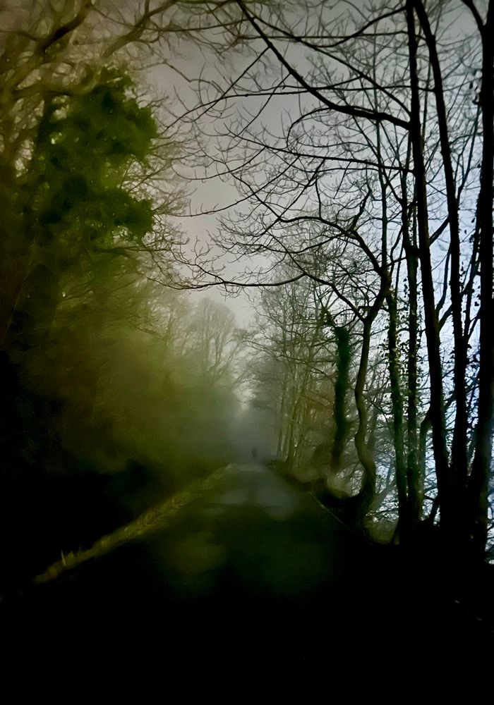 Canal bank at night - dark shadows and a distant silhouette 
