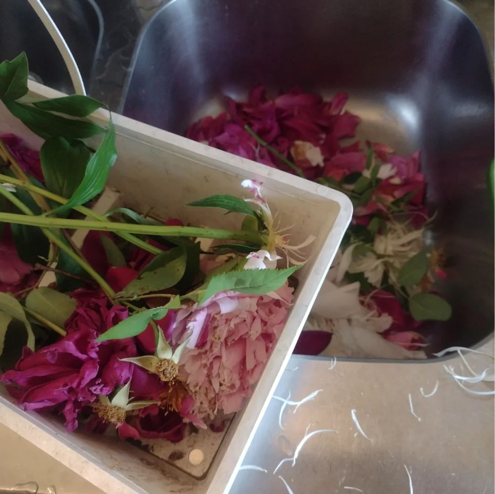 A white plastic basket filled with the withered petals of blush and shocking pick roses and peonies sits above a metal sink, also filled with the withered petals of blush and shocking pick roses and peonies.