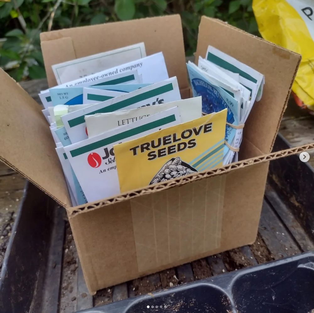 A cardboard box of seedling packets sits in a dirty planter.   