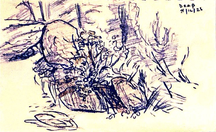 Rough sketch in color pencil of a shrub growing among rocks, with conifers in the background. Signed "Deep" and dated August 12, 2025.