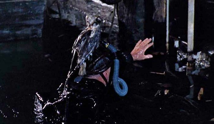 James Bond sortant de l'eau avec tout l'équipement de plongée et un bonnet de bain avec une mouette empaillée collée dessus pour être discret.
C'est issu du début du film Goldfinger il me semble