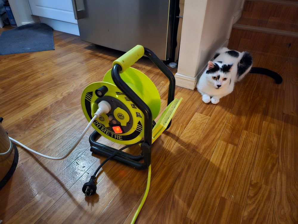A coiled extension lead on the floor of a kitchen. With a hungry cat sitting nearby. 