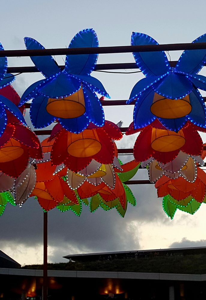 Colourful lanterns under a stormy sky. The lanterns replicate flowers.