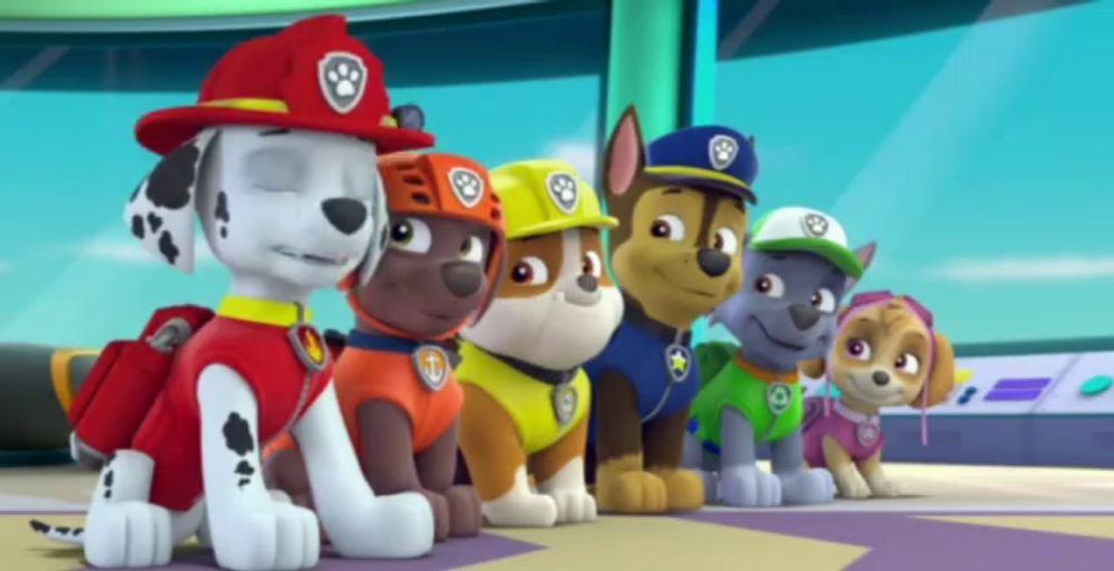 a group of paw patrol dogs are sitting in a row .