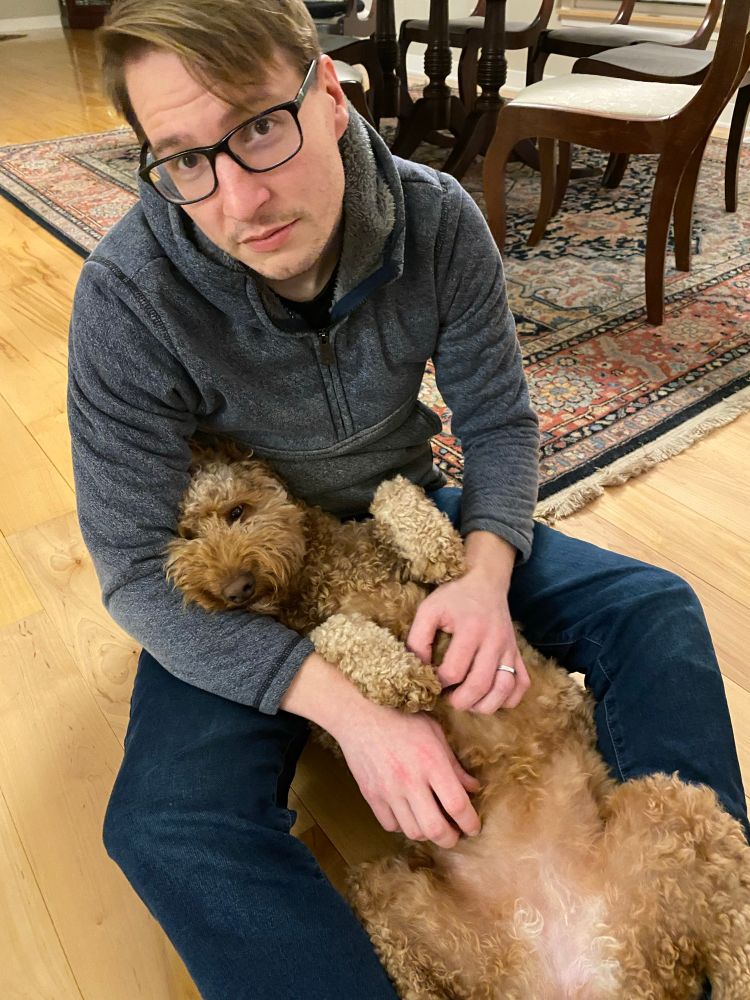 picture of a guy rubbing a goldendoodle's belly and looking at the camera