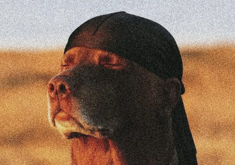 Local man in full "WELP" mode.