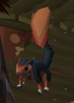 The giant squirrel pet form the MMORPG oldschool runescape