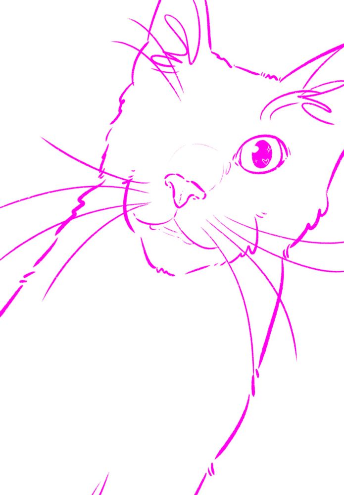 pink lined sketch with a cat with one eye and it's mouth slightly open.