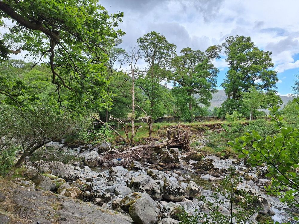 The upper Derwent at YHA Borrowdale