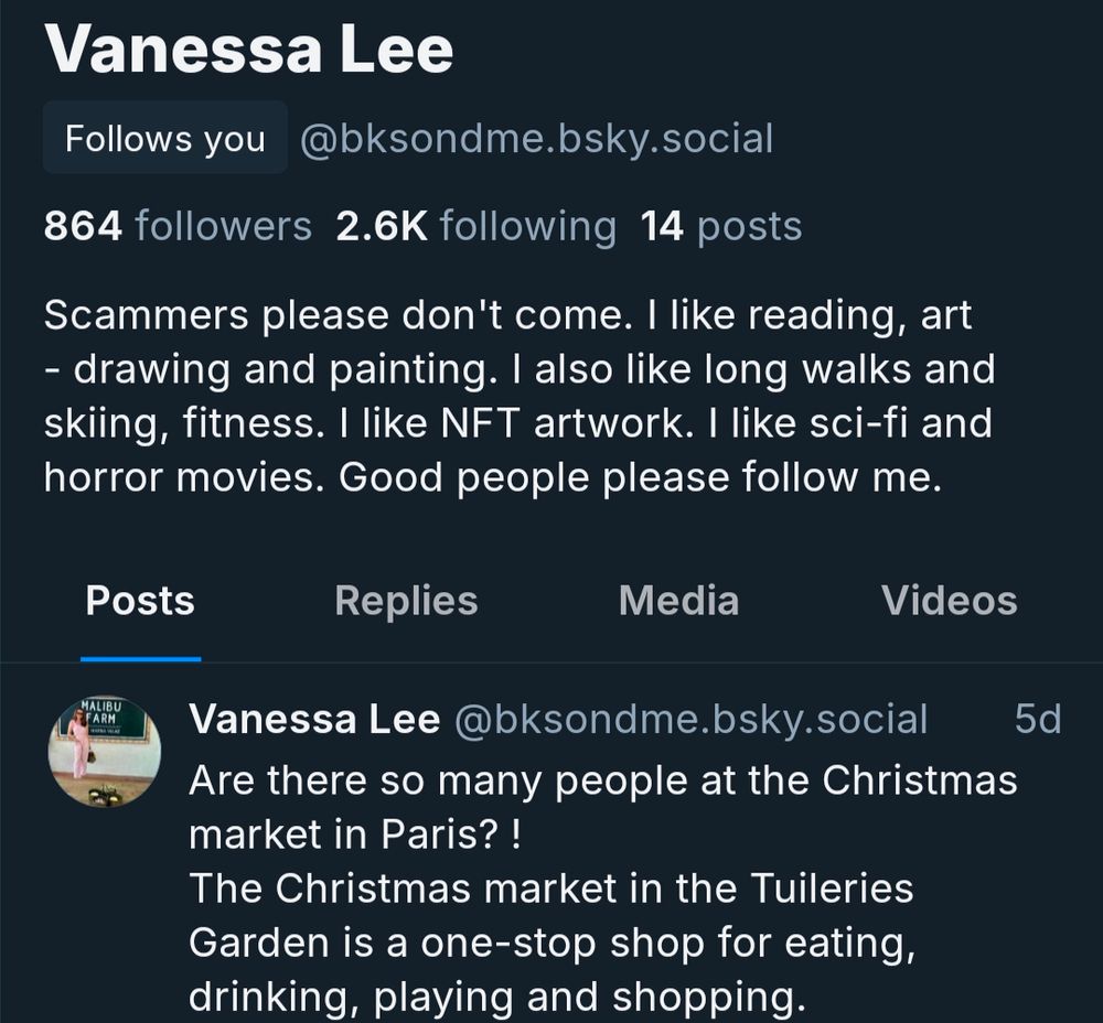 Profil eines Spambots, der vor 5 Tagen über der Pariser Weihnachtsmarkt geskeetet hat, als wäre er gerade eben dort gewesen.