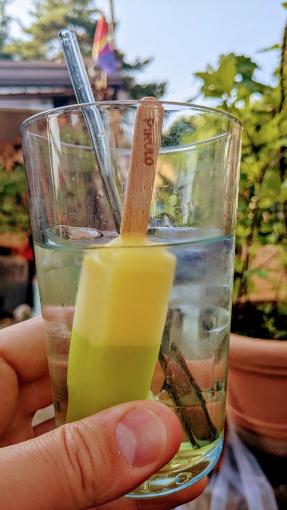 Ein Glas Gin Tonic, darin stecken ein Strohhalm und ein angeknabbertes Kaktus-Eis