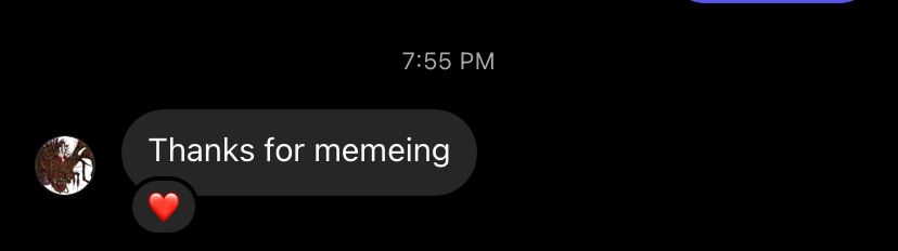 screenshot of a hearted ig message that reads “thanks for memeing”