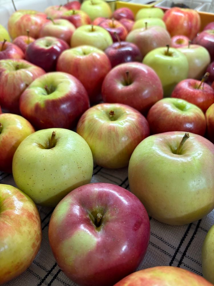 Many apples