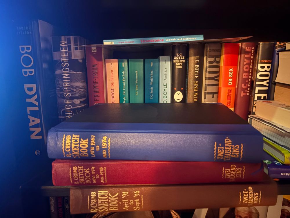 Ein Foto eines Teils meines Bücherregals mit Werken von TC Boyle und Robert Crumb