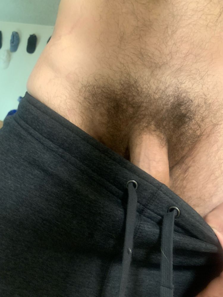 Mid shot of hairy torso, the waistband of some dark gray sweatpants being pulled down to reveal a full bush and the base of a thick veiny dick