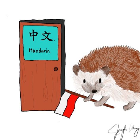 a humurous image of a hedgehog holding a polish flag in front of a door that says "Mandarin"