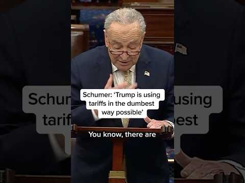 Schumer: 'Trump is using tariffs in the dumbest way possible'