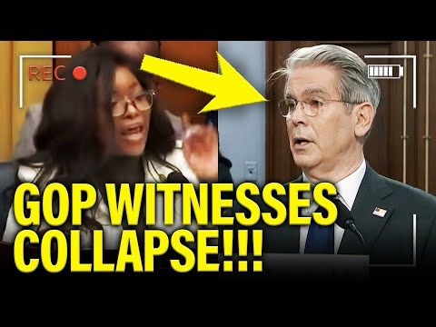 Dems Unleash BRUTAL CROSS-EXAM of GOP Witnesses