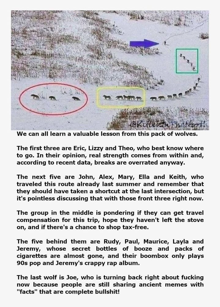 We can all learn a valuable lesson from this pack of wolves.

The first three are Eric, Lizzy and Theo, who best know where
to go. In their opinion, real strength comes from within and,
according to recent data, breaks are overrated anyway.

The next five are John, Alex, Mary, Ella and Keith, who
traveled this route already last summer and remember that
they should have taken a shortcut at the last intersection, but
it's pointless discussing that with those front three right now.

The group in the middle is pondering if they can get travel
compensation for this trip, hope they haven't left the stove
on, and if there's a chance to shop tax-free.

The five behind them are Rudy, Paul, Maurice, Layla and
Jeremy, whose secret bottles of booze and packs of
cigarettes are almost gone, and their boombox only plays
90s pop and Jeremy's crappy rap album.

The last wolf is Joe, who is turning back right about fucking
now because people are still sharing ancient memes with
"facts" that are complete bullshit!

