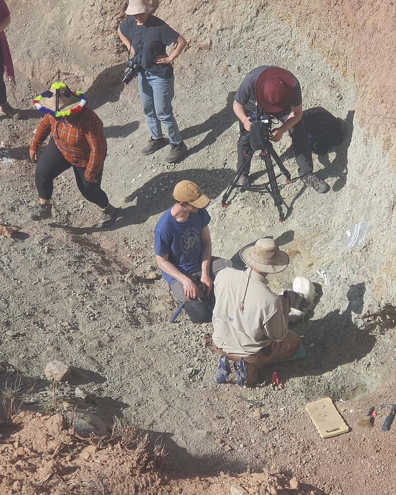 A group of people are gathered at the bottom of a mountain channel. One man in a wide-brimmed hat prepares to life a plaster-coated fossil out of the ground while another man points a video camera on a tripod towards him.