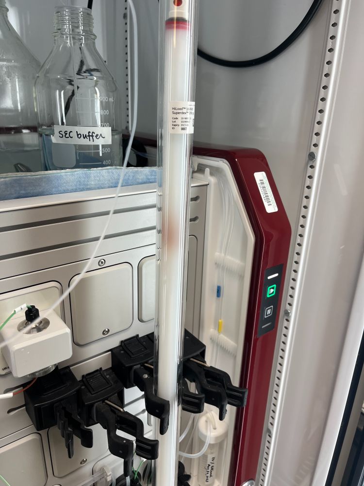 FPLC system with a size exclusion column showing a red band