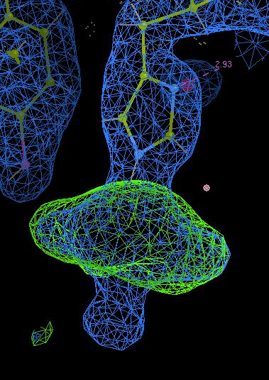 an electron density map rendered in coot that looks like a histidine sitting on top of a mushroom
