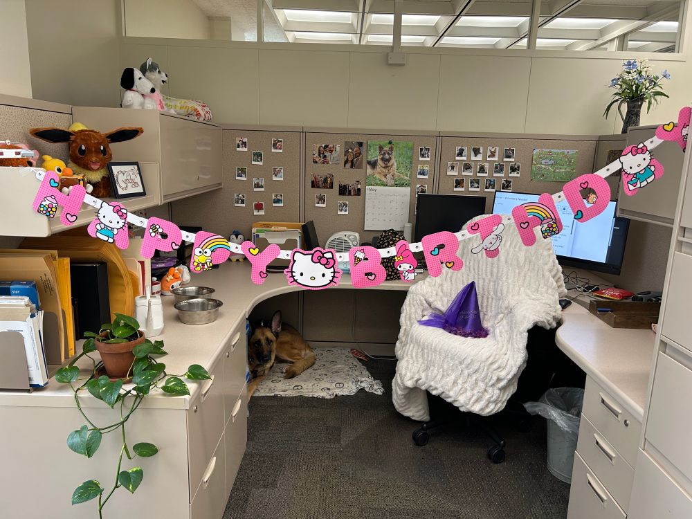 a view of my desk adorned with a Hello Kitty birthday banner. there is a purple cone hat on my chair that says “Birthday Princess” in sparkly cursive. my guide dog is also visible, lying on her bed underneath the desk. 
