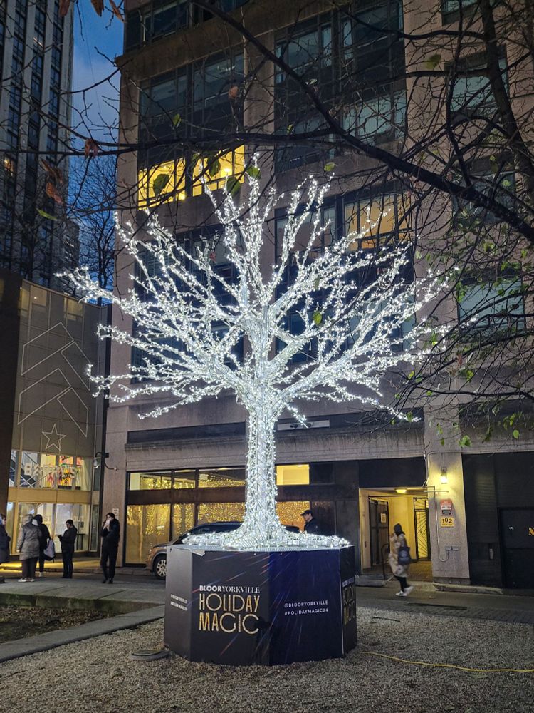 Tree with dense covering of white string lights on the trunk and branches, atop a podium that says Bloor Yorkville Holiday Magic