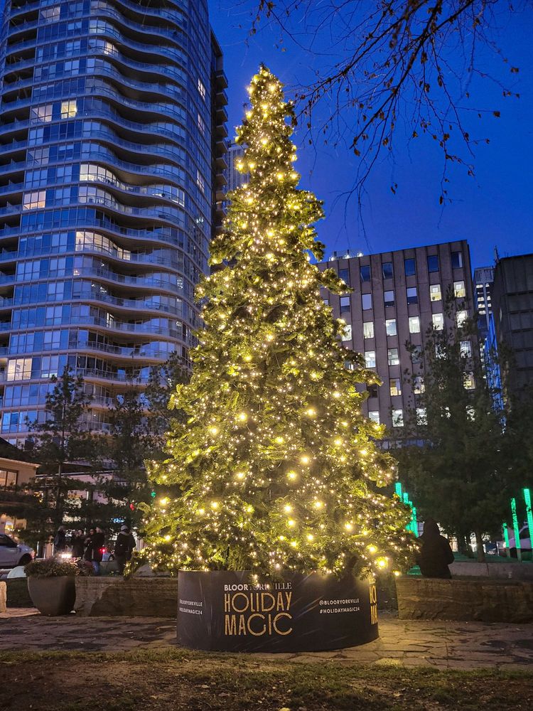 Conical Christmas tree covered in lights, , atop a podium that says Bloor Yorkville Holiday Magic