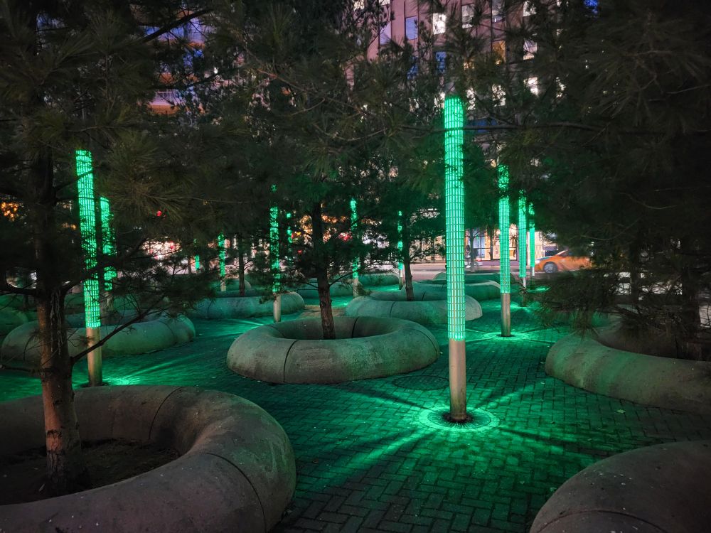 Poles covered in green lights, spaced evenly among a grid of evergreen trees, projecting rays of green light on the ground