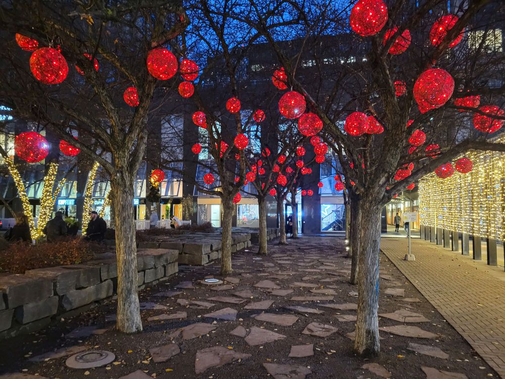 Rows of trees with large lighted red balls in their branches, with various other lighted elements in the background